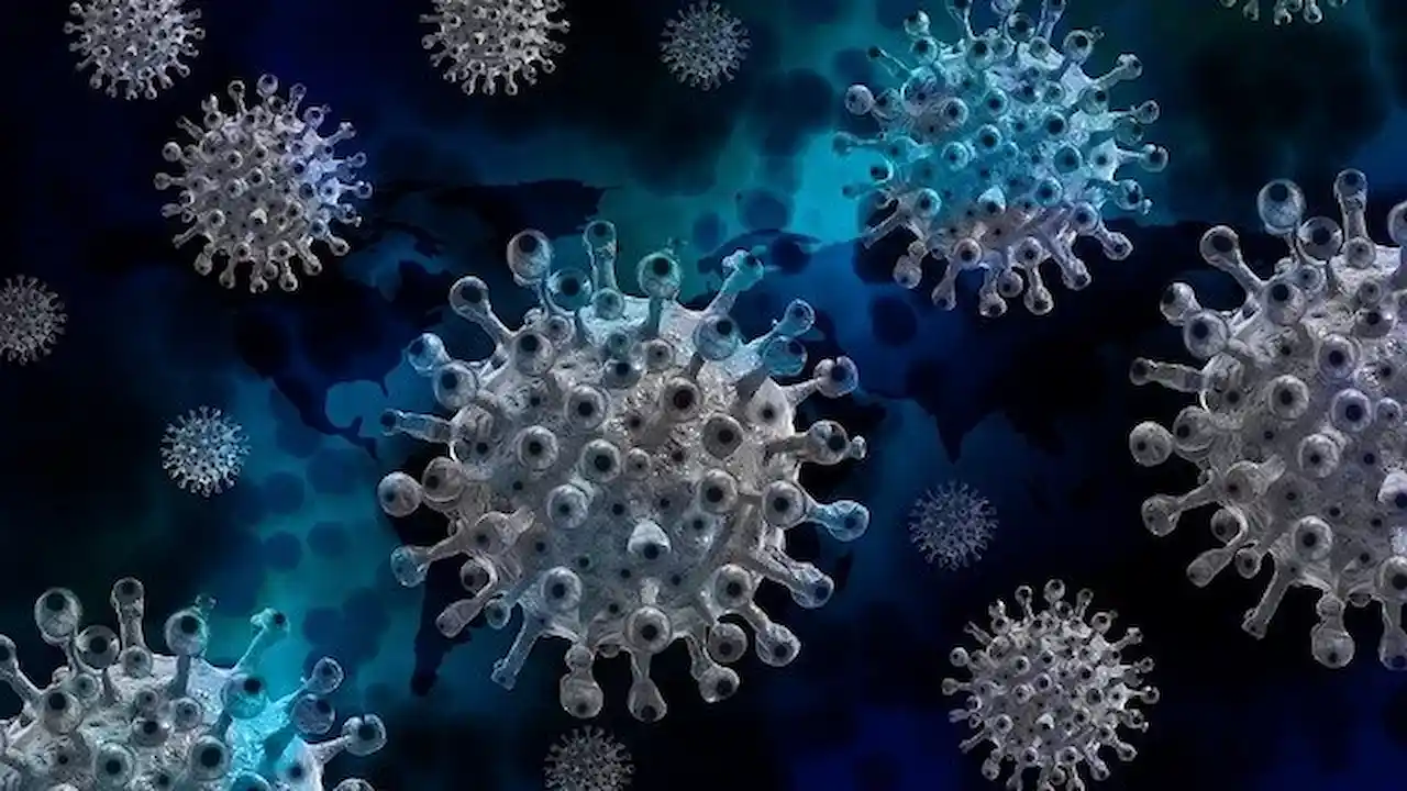virus